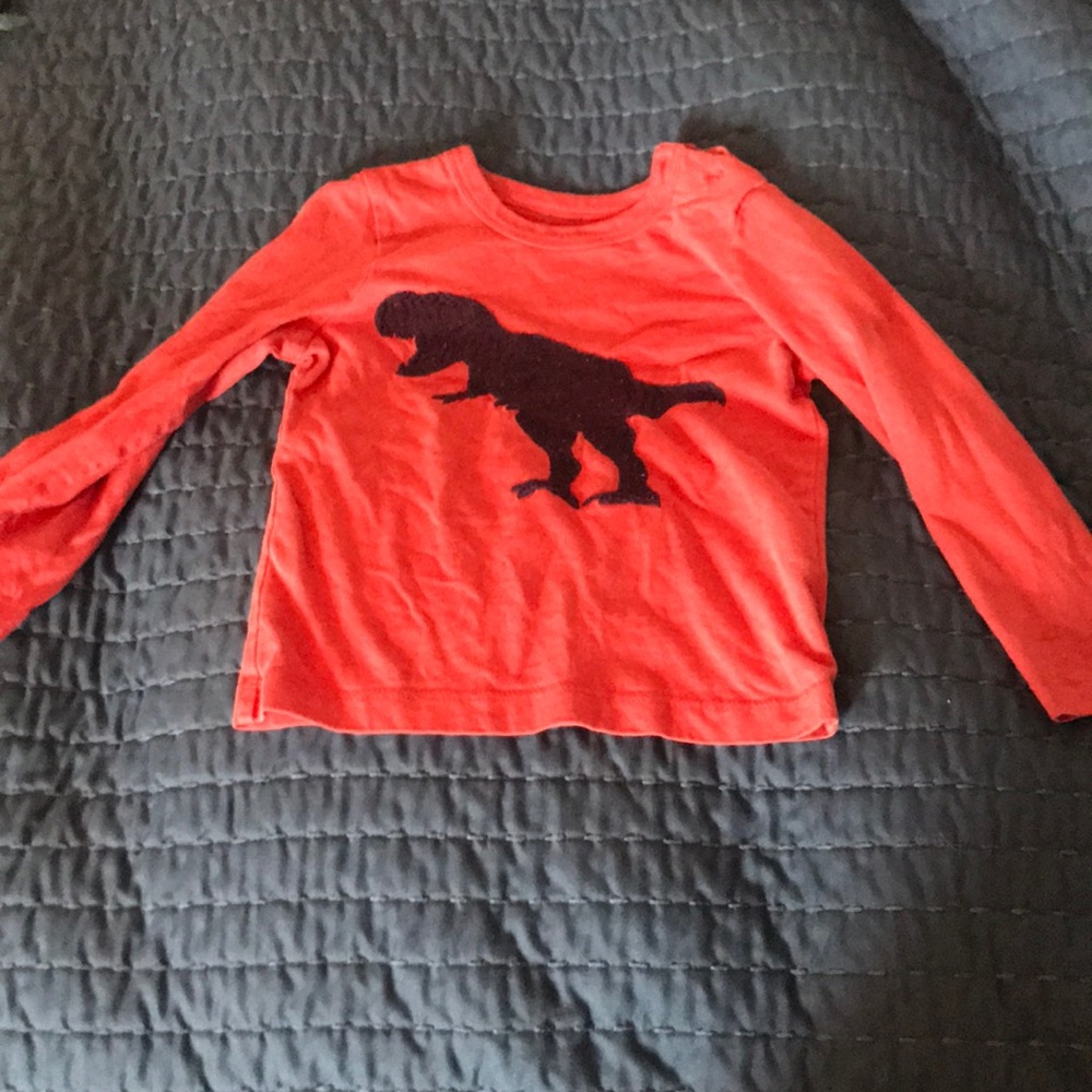 Girls t Rex shirt
